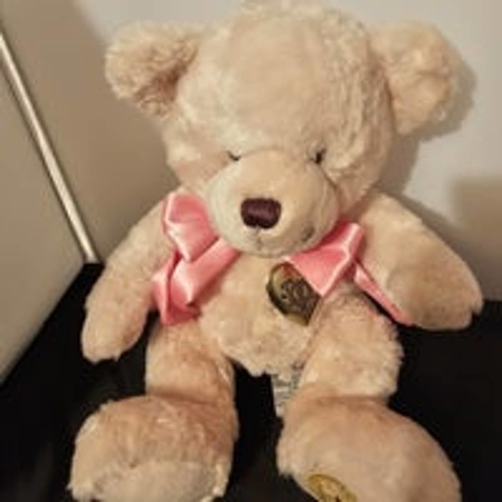 Dankin Thomas Kinkade Bear With locket B